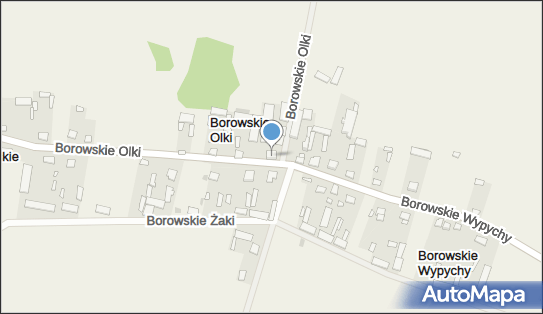 Mariusz Januszewicz Firma Usługowa, Borowskie Olki 21 18-106 - Przedsiębiorstwo, Firma, NIP: 9661442171