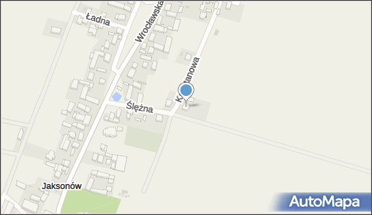 Mariusz Stachów, ul. Kasztanowa 25, Jaksonów 55-020 - Przedsiębiorstwo, Firma, NIP: 9141229152