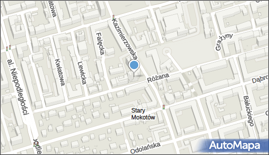 Mark Preston Business Services Marcus Preston, Warszawa 02-572 - Przedsiębiorstwo, Firma, NIP: 5213466989