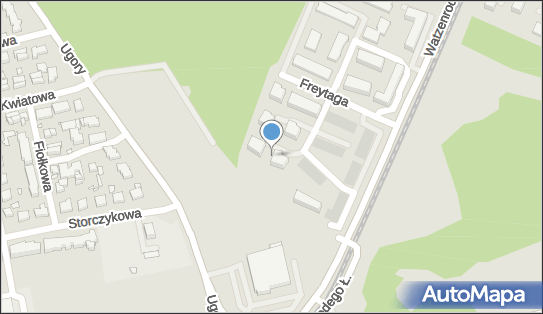 9562128721, Shooting Star Marta Nowicka-Bujak 