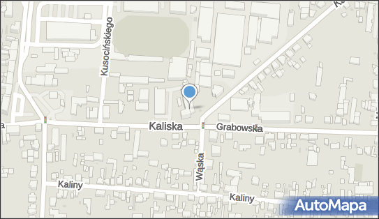 Marta Wachowiak - Działalność Gospodarcza, Kaliska 61 63-400 - Przedsiębiorstwo, Firma, NIP: 6222568520