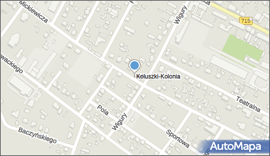 100996321, 