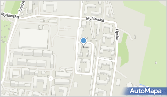 6772275295, Marzena Chmiel Big City Lights 