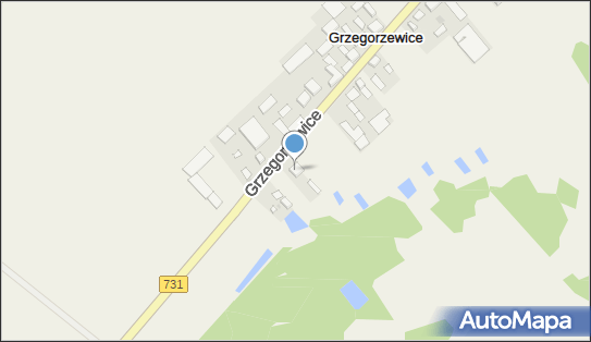 Marzena Gostkowska - Działalność Gospodarcza, Grzegorzewice 87 05-660 - Przedsiębiorstwo, Firma, NIP: 7971846654