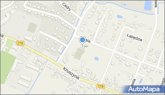 Master Team, Ptasia 2, Kruszyna 66-100 - Przedsiębiorstwo, Firma, NIP: 9730797056