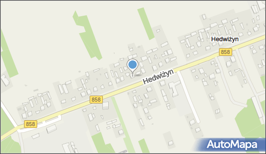 Mateusz Chyl, Hedwiżyn 95, Hedwiżyn 23-400 - Przedsiębiorstwo, Firma, NIP: 9182168134
