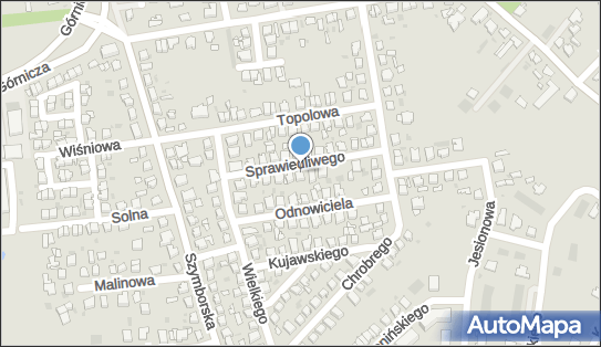 Mateusz Górny Fabryka Czystości, Kazimierza Sprawiedliwego 13 88-100 - Przedsiębiorstwo, Firma, NIP: 5562583529