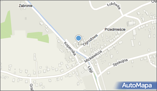 8733014261, Mateusz Roguski Gigantic Brain 