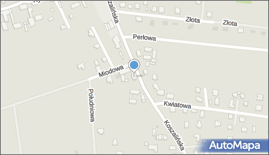 6692348856, Matt Point Mateusz Grzelakowski 