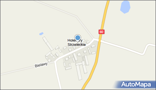 MDK, Holendry Strzeleckie 4, Holendry Strzeleckie 99-307 - Przedsiębiorstwo, Firma, NIP: 7752255255