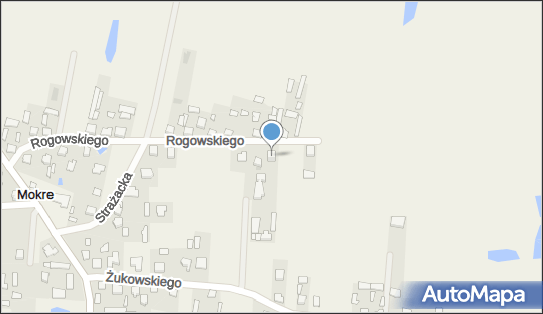 Meblw, ul. kpt. Jana Rogowskiego 30, Mokre 05-250 - Przedsiębiorstwo, Firma, NIP: 5441373827