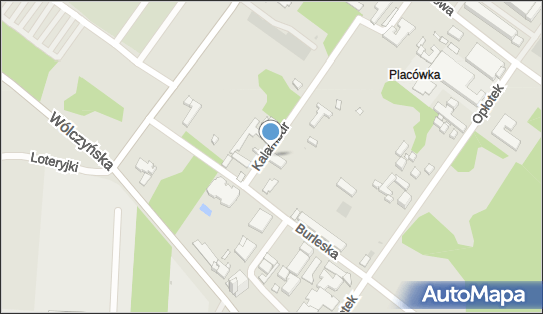 Mechanika i Elektromechanika Samochodowa, ul. Kalambur 33, Warszawa 01-939 - Przedsiębiorstwo, Firma, numer telefonu, NIP: 1181387628