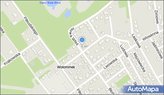 Mechanika Pojazdowa, Błońska 44, Wołomin 05-200 - Przedsiębiorstwo, Firma, NIP: 1250570408