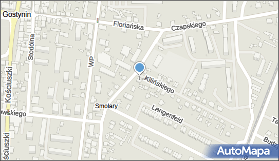 Medicalimp, Armii Krajowej 11, Gostynin 09-500 - Przedsiębiorstwo, Firma, NIP: 8290007226