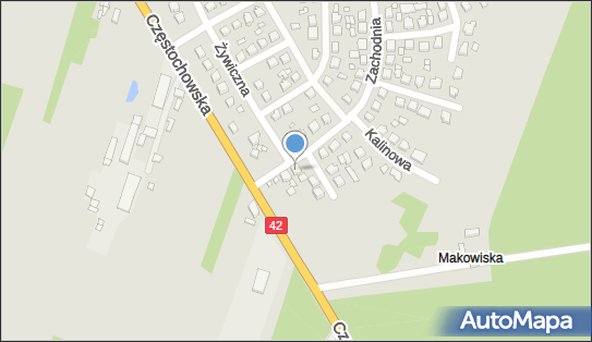 Medicus Danuta Łukomska Ewa Filocha Urszula Błachowska, Pajęczno 98-330 - Przedsiębiorstwo, Firma, NIP: 7722118648