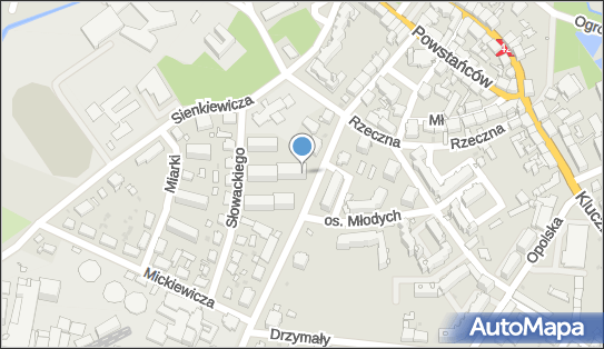 Medyńska Pawluk, Dworcowa 24, Wołczyn 46-250 - Przedsiębiorstwo, Firma, NIP: 7511389793