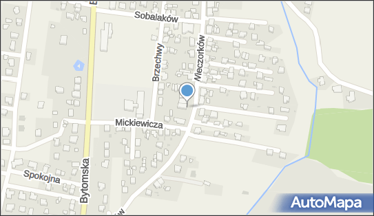 Meet., Wieczorków 76, Orzech 42-622 - Przedsiębiorstwo, Firma, NIP: 6452347260