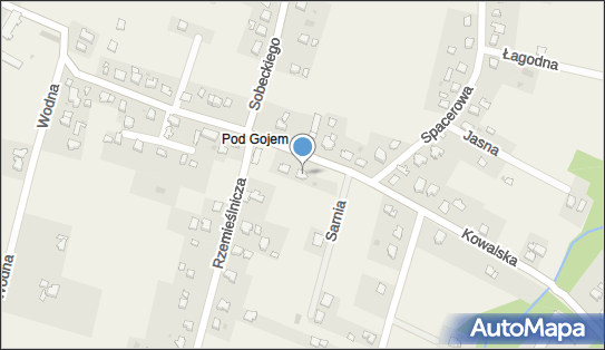 Mega-Optic Przemysław Winter, ul. Kowalska 5, Pierściec 43-430 - Przedsiębiorstwo, Firma, NIP: 5480006576