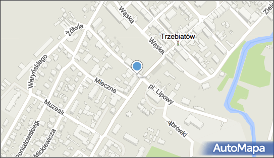 Meloman Paloc J Paloc w, II Pułku Ułanów 1, Trzebiatów 72-320 - Przedsiębiorstwo, Firma, NIP: 8571510483