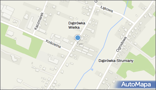 Michał Buczkowski, ul. Główna 62, Dąbrówka Wielka 95-100 - Przedsiębiorstwo, Firma, NIP: 7320020309