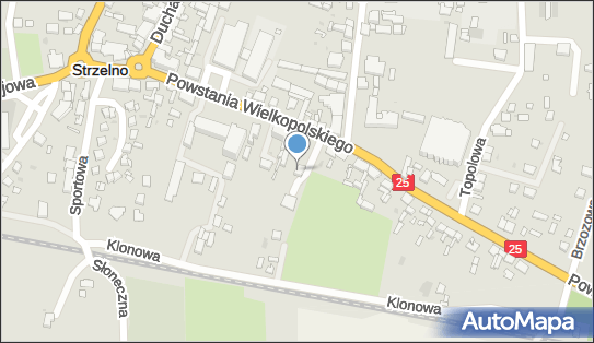 Michał Fredyk Samfred, Powstania Wielkopolskiego 16, Strzelno 88-320 - Przedsiębiorstwo, Firma, NIP: 5571109247