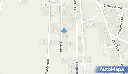 Michał Mansfeld, ul. ks. Franciszka Bojdoła 19, Wyry 43-175 - Przedsiębiorstwo, Firma, NIP: 6351533009