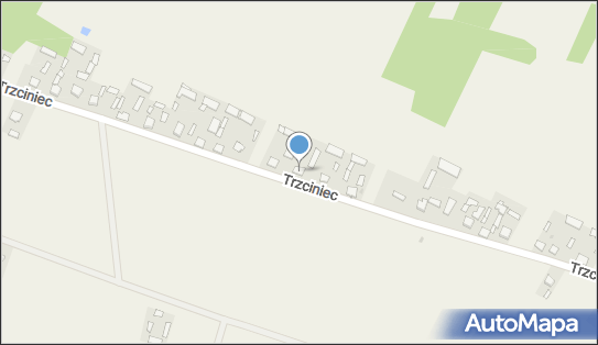 Michał Pietrawski, Trzciniec 24, Trzciniec 24-350 - Przedsiębiorstwo, Firma, NIP: 7171786399