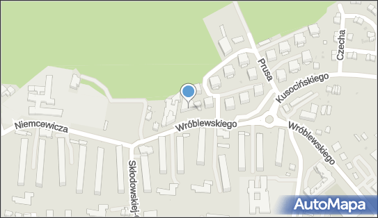 Michał Wiejak WM Trans, ul. Zygmunta Wróblewskiego 16D, Puławy 24-100 - Przedsiębiorstwo, Firma, NIP: 7162612777