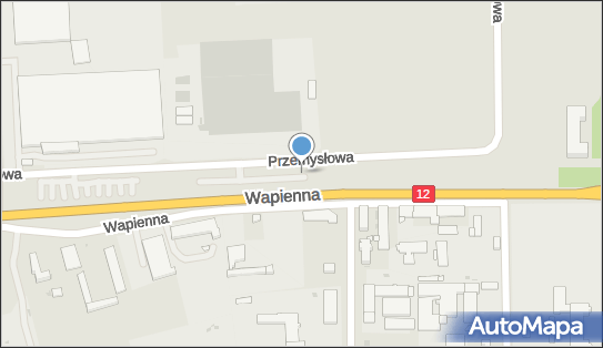 Mieczysław Adamek Handel Det. i Hurtowy Art.Przemyslowymi Ekspor 68-200 - Przedsiębiorstwo, Firma, NIP: 9281001495