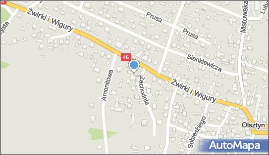 Mieczysław Krawczyk Zakład Produkcyjno-Usługowy Bartex, Olsztyn 42-256 - Przedsiębiorstwo, Firma, NIP: 5730231246