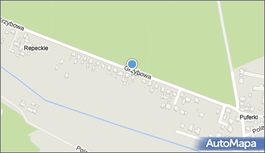 6262473004, Drew-Star Lucyna Mielcarz 