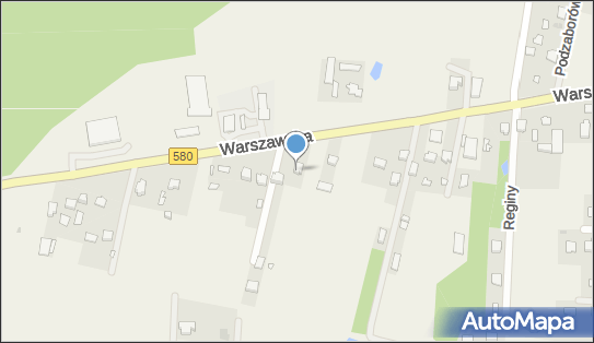 Mikrobusowy Przewóz Osób, Warszawska 36E, Leszno 05-084 - Przedsiębiorstwo, Firma, numer telefonu, NIP: 5291030562