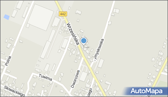 Milkoimpex Export Import Pośrednictwo Handlowo Turystyczne, Pyzdry 62-310 - Przedsiębiorstwo, Firma, NIP: 7822200786