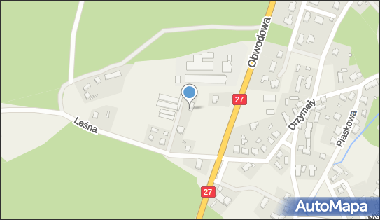 Mini Bar, Leśna 1B, Świdnica 66-008 - Przedsiębiorstwo, Firma, NIP: 9730303350