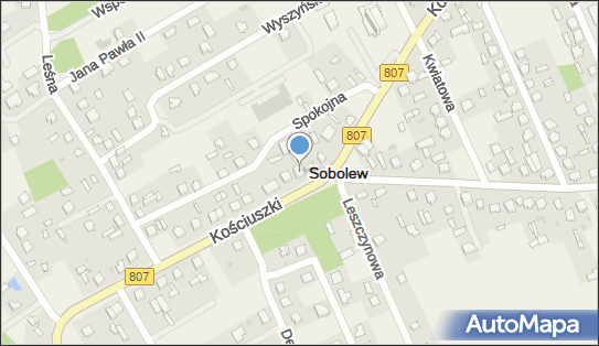 Mini Market Art Spożywczo Przemysłowe Irena i Tadeusz Sabat 08-460 - Przedsiębiorstwo, Firma, numer telefonu, NIP: 8261854455
