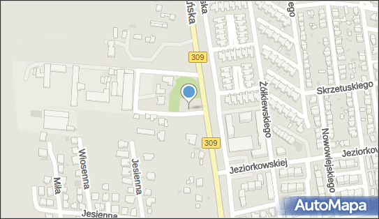 Minor w Likwidacji, Poznańska 31, Leszno 64-100 - Przedsiębiorstwo, Firma, numer telefonu, NIP: 6971862204