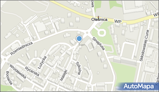 Mirosław Długołęcki, ul. Jana Matejki 15, Oleśnica 56-400 - Przedsiębiorstwo, Firma, NIP: 9110008438