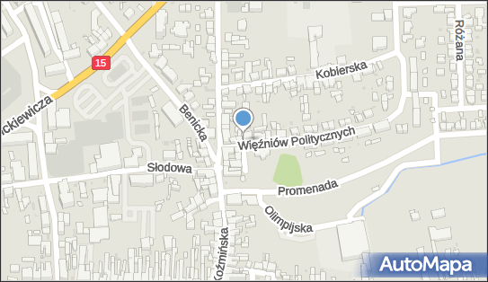 Mirosław Wujec Meblostyl, ul. Więźniów Politycznych 1 63-700 - Przedsiębiorstwo, Firma, NIP: 6210031228