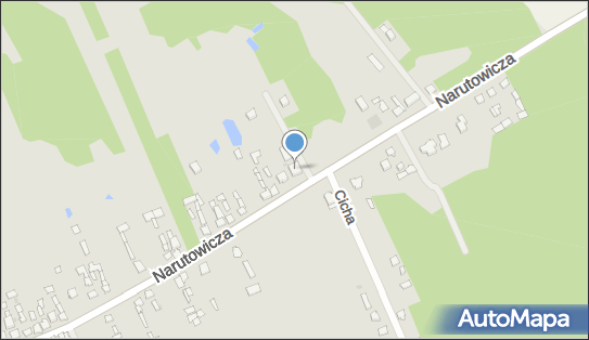 147145240, Missing Paw StudioŁukasz Szejba 