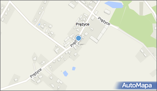 Miszczuk Wioletta Sklep Spożywczo-Przemysłowy, Prężyce 7 55-026 - Przedsiębiorstwo, Firma, NIP: 9131254556