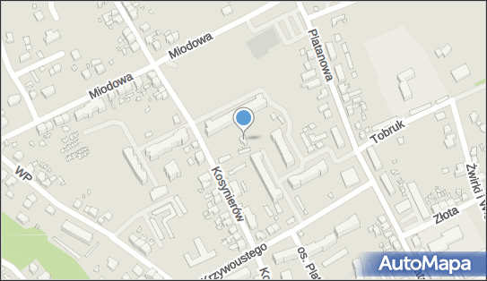 ML Transport Joanna Jaroch, ul. Kosynierów 22, Gubin 66-620 - Przedsiębiorstwo, Firma, NIP: 7611189467