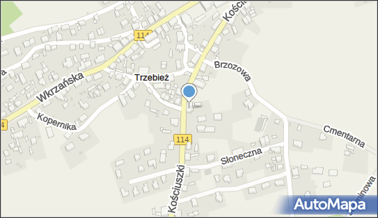 Mobilna Sprzedaż Ryb - , Pan Rybka Stanisław Nojek 72-020 - Przedsiębiorstwo, Firma, NIP: 8511861782
