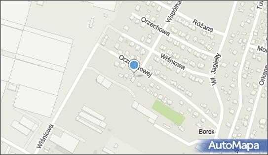 Monika Dziak, ul. Elizy Orzeszkowej 17, Mielec 39-300 - Przedsiębiorstwo, Firma, NIP: 8172003307