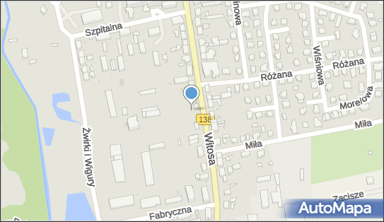 Monika Janicka Jamal F.H.U., ul. Wincentego Witosa 24, Sulęcin 69-200 - Przedsiębiorstwo, Firma, NIP: 5961281103