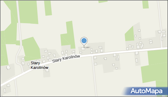 Monika Smoleń-Rusin Fortunatus, Stary Karolinów 24 96-330 - Przedsiębiorstwo, Firma, NIP: 8361282260