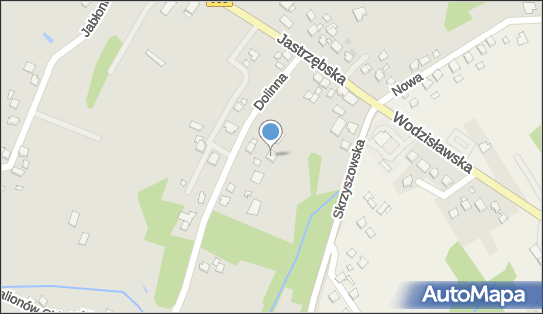 Moric Łucja Handel Detaliczny, ul. Armii Ludowej 5 A 44-304 - Przedsiębiorstwo, Firma, NIP: 6471277709