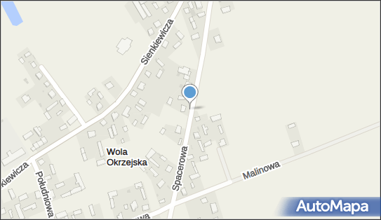 Motorzone Piotr Gogłoza, Okrzeja 8, Okrzeja 21-480 - Przedsiębiorstwo, Firma, NIP: 8251844099