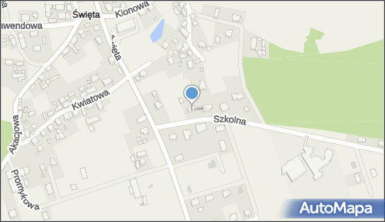 MSP Dominika Bury, Święta 45B, Święta 77-400 - Przedsiębiorstwo, Firma, NIP: 7671628775