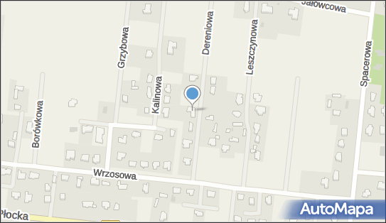 Mtech Piotr Stankiewicz, ul. Dereniowa 7, Brwilno 09-400 - Przedsiębiorstwo, Firma, NIP: 7742078509