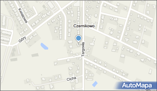 Mtesting, Targowa 45b, Czernikowo 87-640 - Przedsiębiorstwo, Firma, NIP: 8792492430